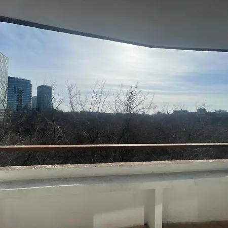 Park View Center Location With Balcony *