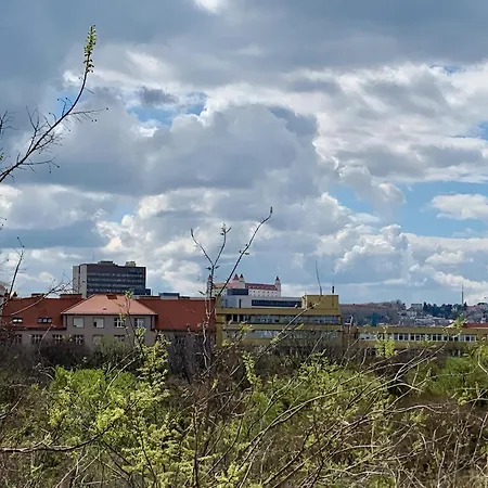 Lejlighed Park View Center Location With Balcony