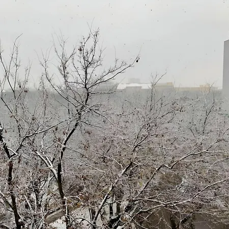 Apartment Park View Center Location With Balcony Pressburg